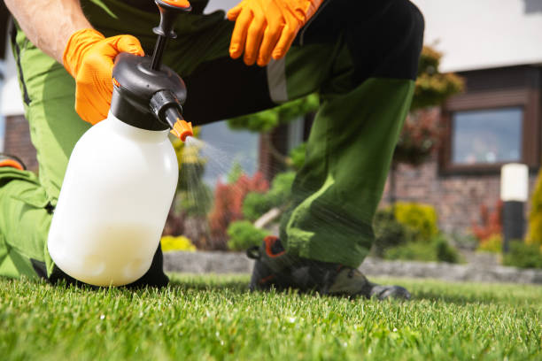 Reliable Laurel Bay, SC Pest Control Solutions