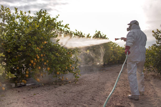 Best Residential Pest Control  in Laurel Bay, SC